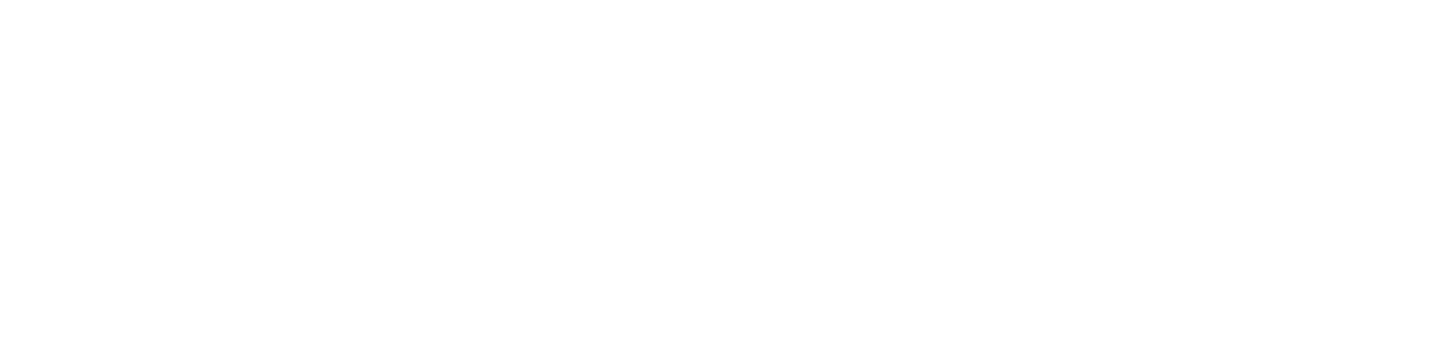 Norseman Xtreme Triathlon logo